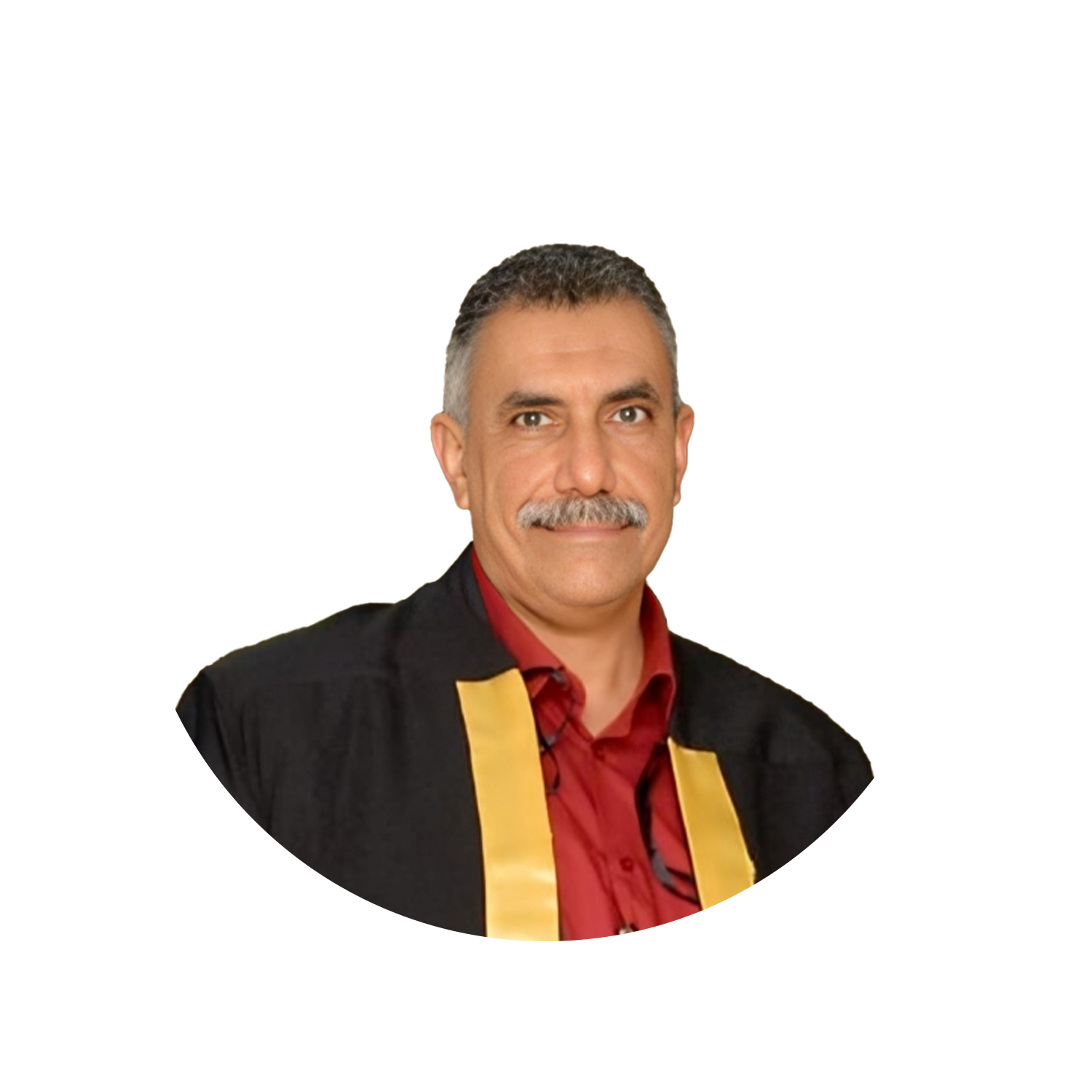 Prof. Hesham Abdel Hamid